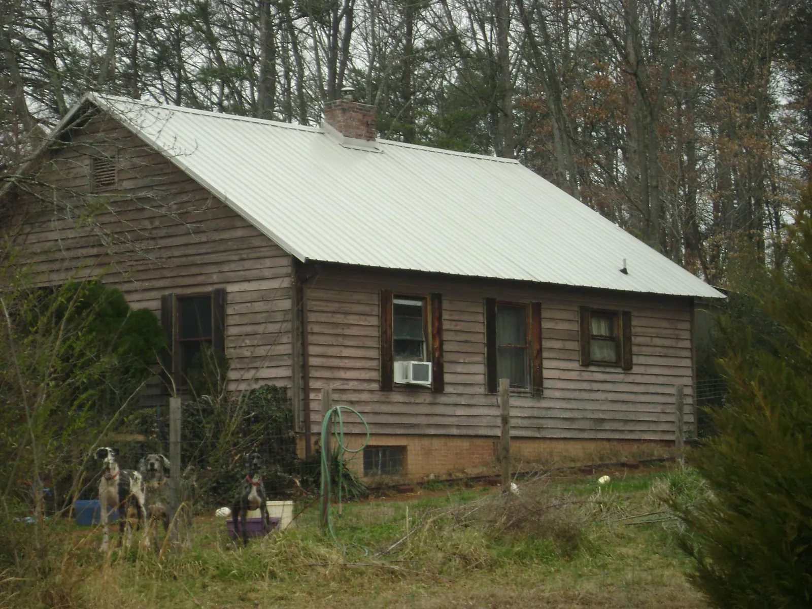 White metal roof on an old wood sided farmhouse, from a Asphalt Shingle Roof Repair job in Waddy